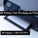 HP Printer Not Working on Windows 11
