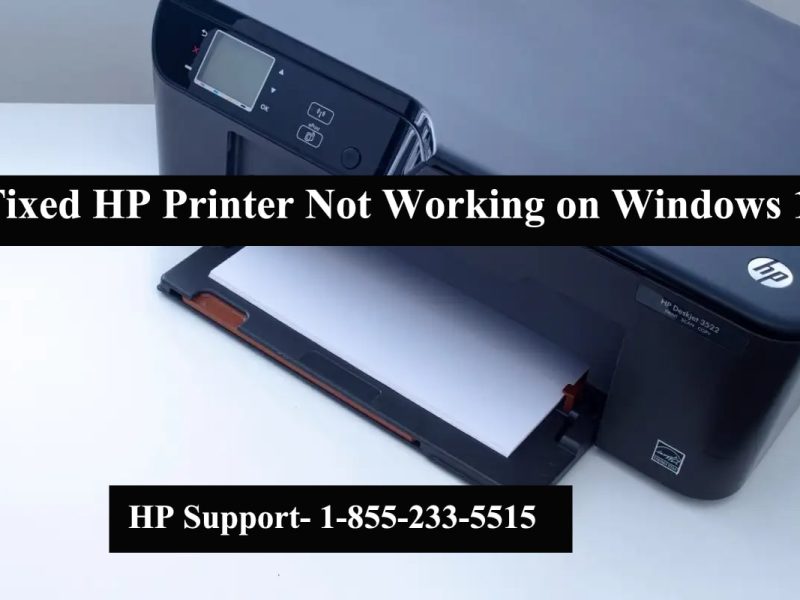 HP Printer Not Working on Windows 11